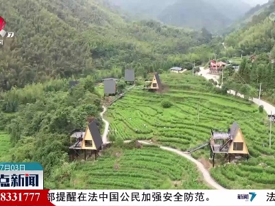 整点新闻20230703 16:00