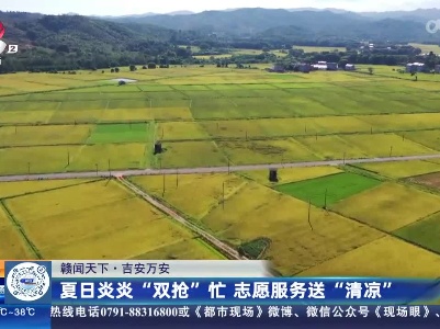 都市现场·午间版20230714
