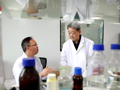超级稻中心：做强“种子芯片” 端牢“中国饭碗”