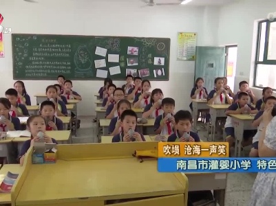 哈尼小记者20230719