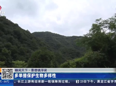 都市现场·午间版20230724