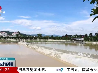 张小平在抚州开展巡林督导