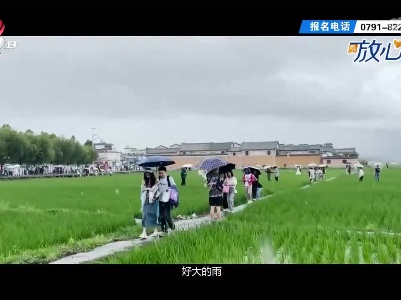 都市放心游20230709