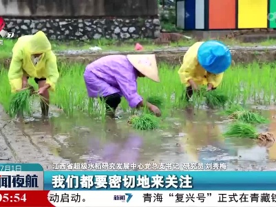 超级稻中心：做强“种子芯片” 端牢“中国饭碗”