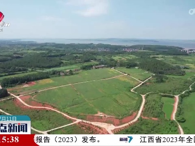 整点新闻20230711 14:00