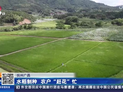 都市现场20230703