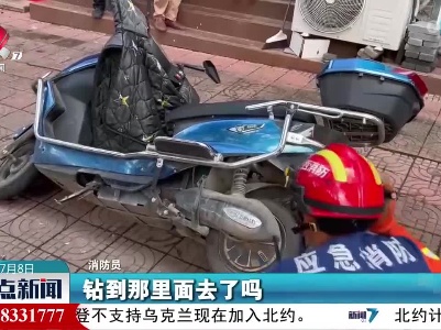 青蛇钻进电动车座椅 消防员及时救助