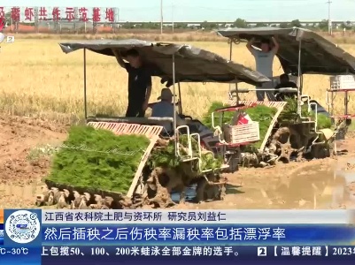 都市现场·午间版20230729