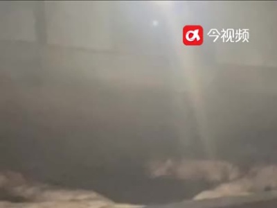 火炉缺水猪生艰难  消防消暑救“二师兄”
