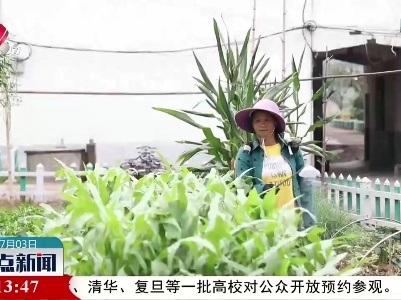 南丰：“小庭院”变身“增收园”