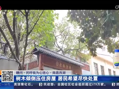 【赣问·民呼我为心连心】南昌西湖：树木倾倒压住房屋 居民希望尽快处置