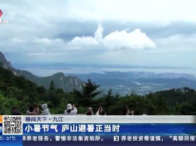 都市现场·午间版20230708
