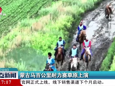 蒙古马百公里耐力赛草原上演