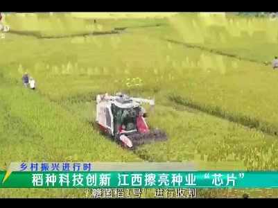 稻花香里20230717 乡村振兴进行时——稻种科技创新 江西擦亮种业“芯片”