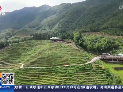 吉安遂川：走进夏日梯田 来一场田园之旅