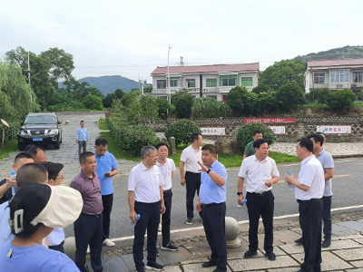 住建部检查组一行到新建区督查农房安全排查整治工作
