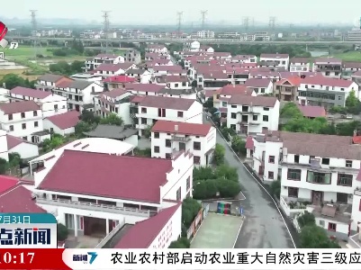整点新闻20230731 10:00