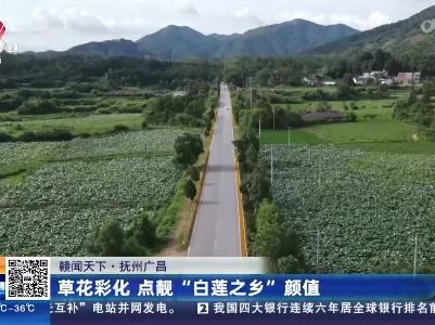 都市现场·午间版20230709