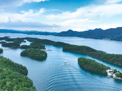 九江：6亿年前的生物！“水中大熊猫”桃花水母再现庐山西海