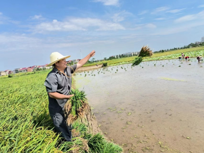 用心驻村帮扶 精准发力助农