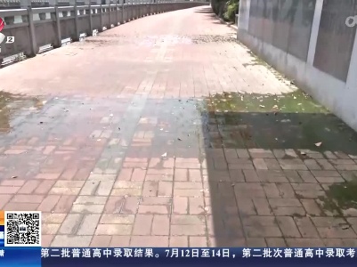 【直播连线·赣问 我为群众办实事】南昌西湖：桥下污水横流 气味难闻有安全隐患