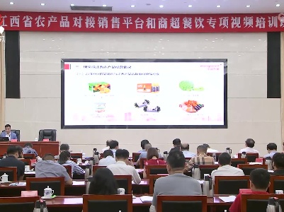 江西省农产品对接销售平台和商超餐饮专项视频培训班举办