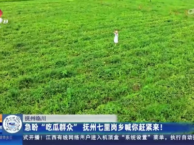 抚州临川：急盼“吃瓜群众” 抚州七里岗乡喊你赶紧来！