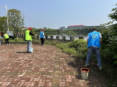【三比三争】高安市田南镇：多措并举开展生态环境满意度提升行动
