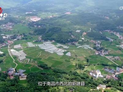 走近自然20230708