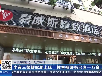 【民法典在身边】九江浔阳：半夜三条蜈蚣爬上床 住客被咬伤已治一万余