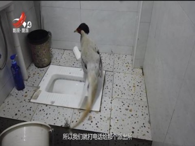 走近自然20230819
