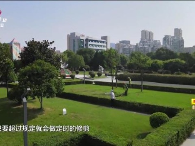 新闻晚高峰20230823