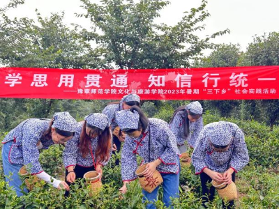 豫章师范学院文化与旅游学院：暑期社会实践 彰显青春担当