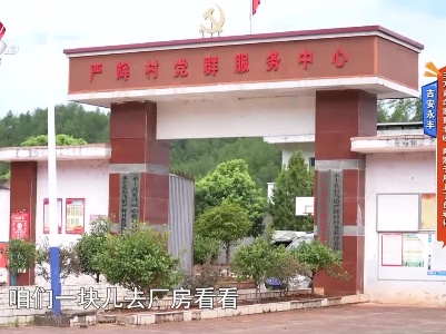 吉安永丰：三万亩白莲喜丰收 剥莲子用上了自动化