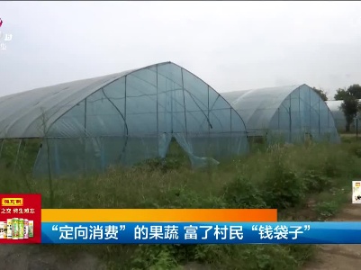 “定向消费”的果蔬 富了村民“钱袋子”
