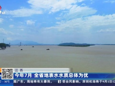 都市现场20230831