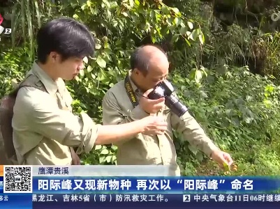 鹰潭贵溪：阳际峰又现新物种 再次以“阳际峰”命名