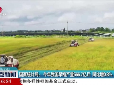 整点新闻20230825 14：00