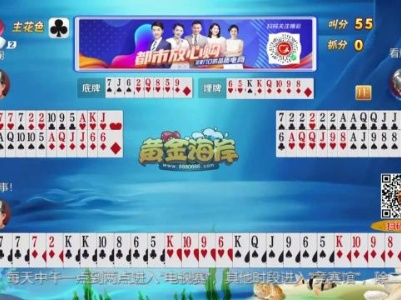 谁是赢家20230818