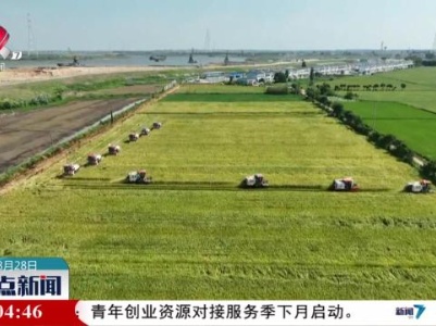 整点新闻20230828 14：00