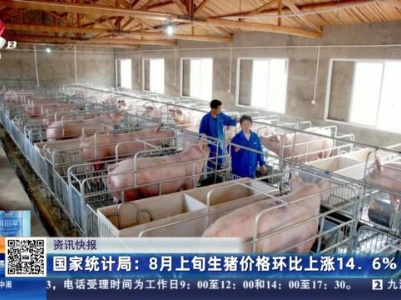 国家统计局：8月上旬生猪价格环比上涨14.6%