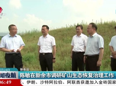 陈敏在新余市调研矿山生态恢复治理工作