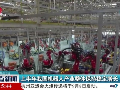 上半年我国机器人产业整体保持稳定增长