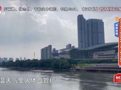 地宝当家20230816