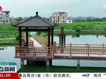 整点新闻20230812 16:00