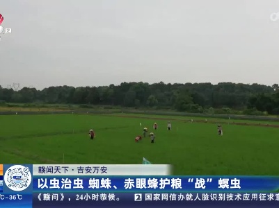 都市现场·午间版20230808