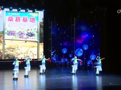 第十一届江西省少儿曲艺展演在抚州市东乡区举行