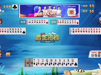 谁是赢家20230817