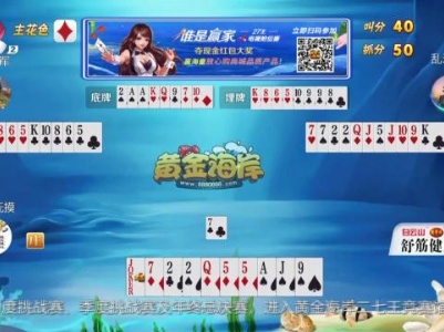 谁是赢家20230823