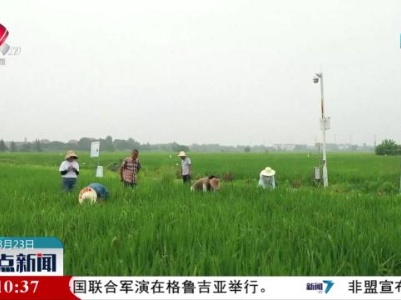 整点新闻20230823 12:00